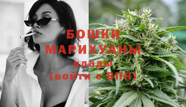 молекула духа Елизово