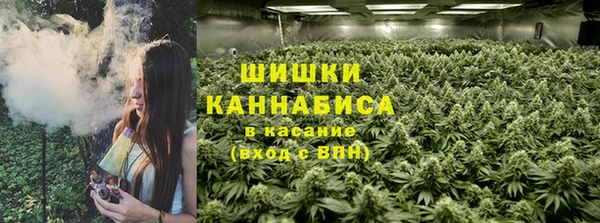 сатива Дмитриев
