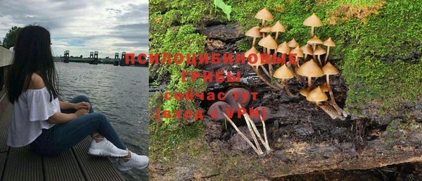 герыч Алексин