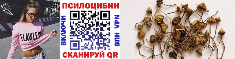 МЕГА ссылки  Владивосток  Галлюциногенные грибы GOLDEN TEACHER  где купить  